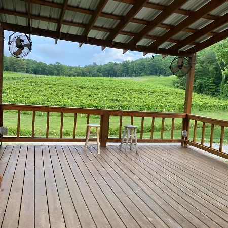 Eagle Mountain River Retreat Ellijay Luaran gambar
