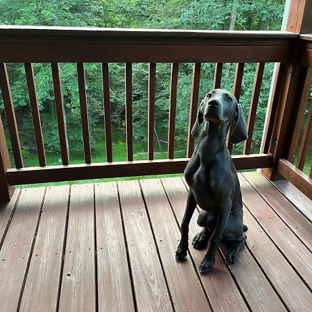 Eagle Mountain River Retreat Ellijay Luaran gambar
