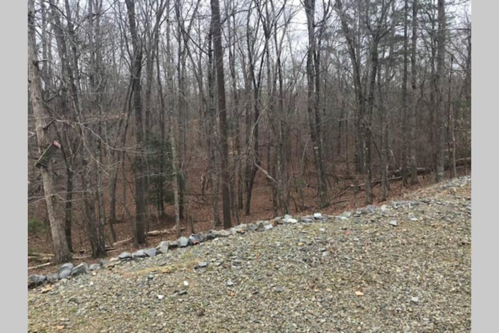 Eagle Mountain River Retreat Ellijay Luaran gambar