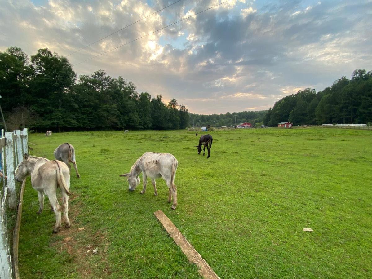 Eagle Mountain River Retreat Ellijay Luaran gambar