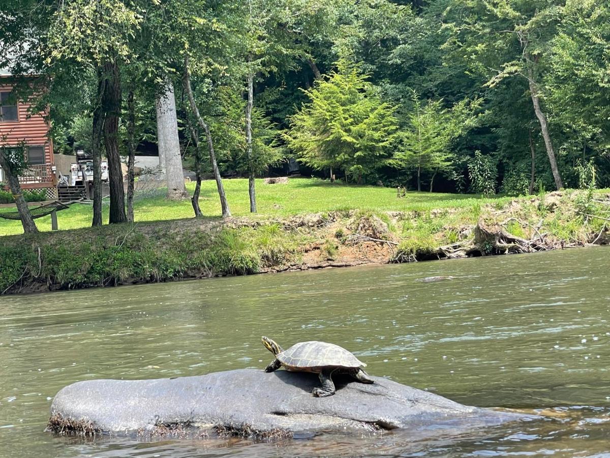 Eagle Mountain River Retreat Ellijay Luaran gambar