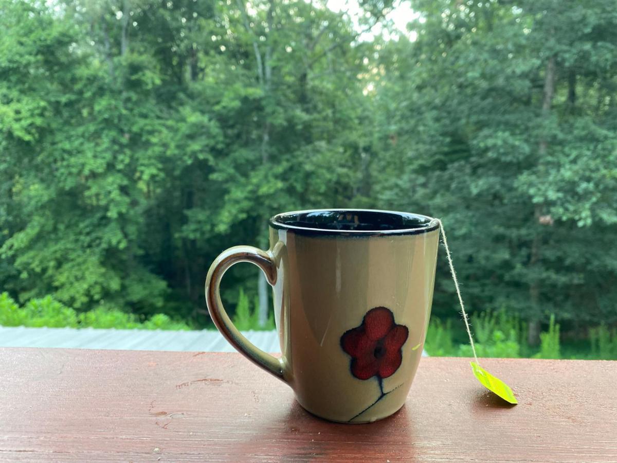 Eagle Mountain River Retreat Ellijay Luaran gambar