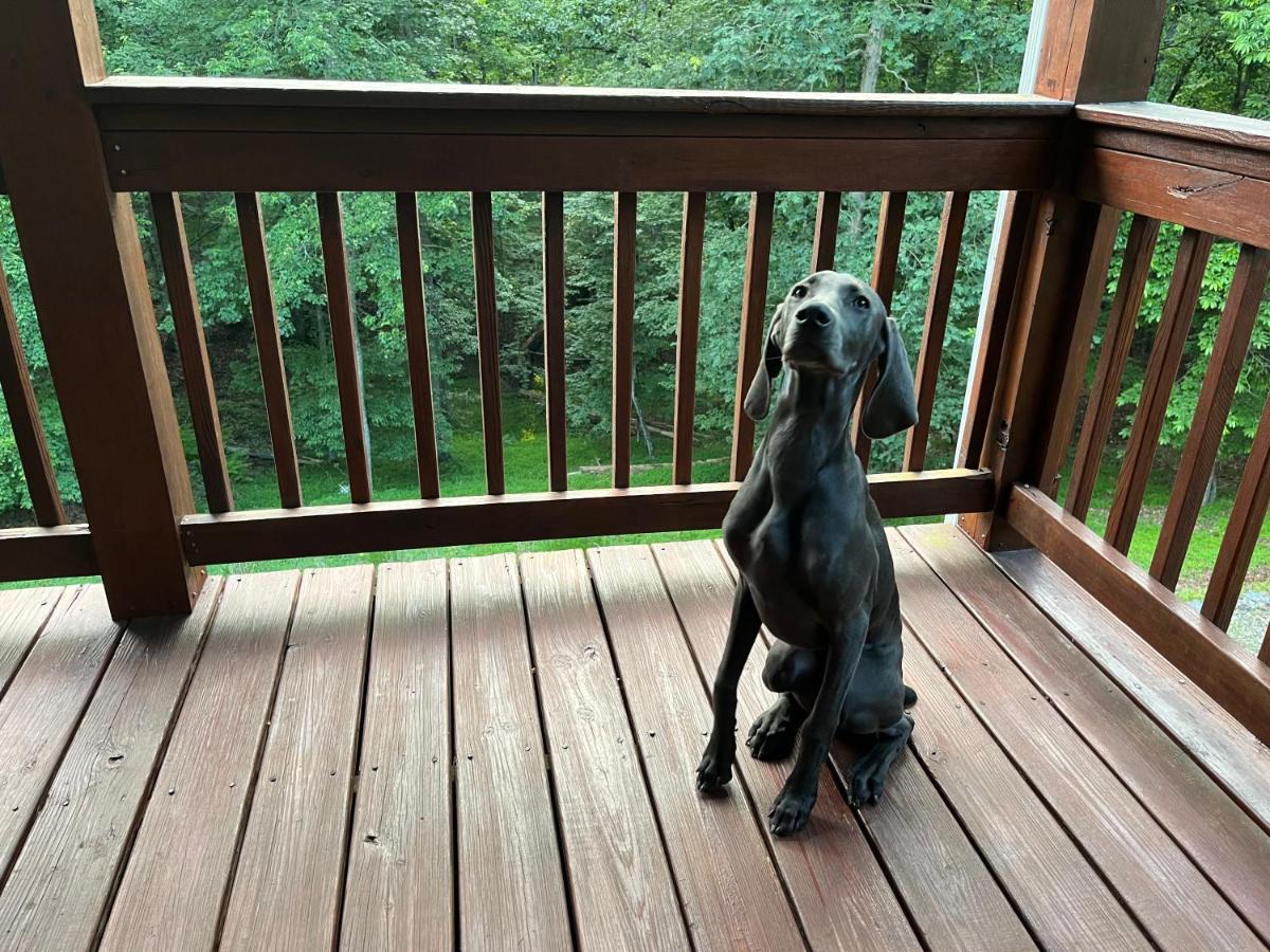 Eagle Mountain River Retreat Ellijay Luaran gambar